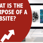 can you create a purpose website